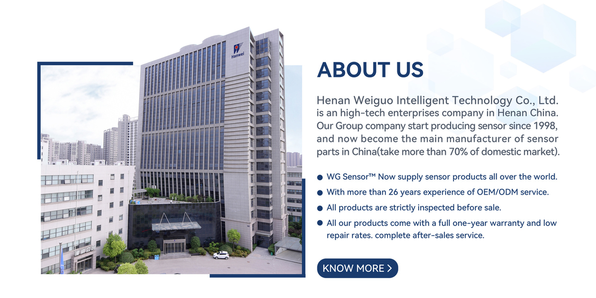 CHINA Henan Weiguo Intelligent Technology Co., Ltd. Perfil de la compañía